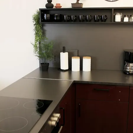 L 3 Schlafzimmer I Sauna L 400m Bis Uni I Messe I Iga 27 * Duisburg